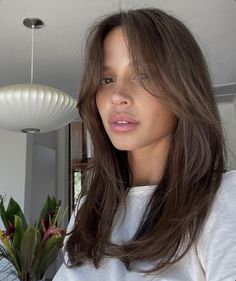 Cute Hair Cuts For Dark Brown Hair, Dark Brown Hair Layers Medium, Subtle Curtain Bangs Medium Hair, Haïr Cut Medium Hair Layers, Brown Hair Layers Medium, Haïr Style Straight Hair, Slightly Layered Hair, Layer Medium Haircut, Haircut Ideas Medium Hair