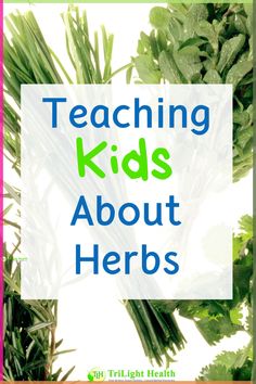 the words teaching kids about herbs on top of green leaves