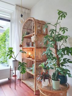 a wicker shelf with potted plants on it in front of a large window