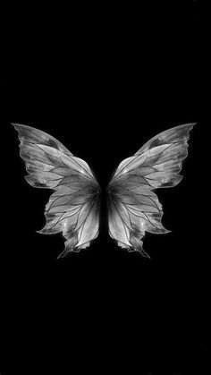 a black and white photo of two wings on a dark background with only one wing visible