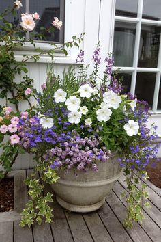 a large pot filled with lots of flowers sitting on top of a wooden floor next to a window