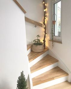 the stairs are decorated with christmas lights and potted plants