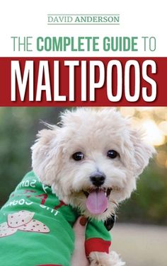 the complete guide to maltipos for dogs by david anersonon, paperback