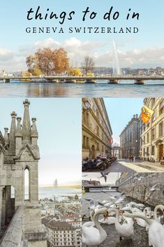 there is a collage of pictures with the words things to do in geneva switzerland