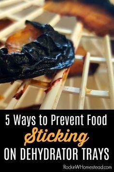 food on sticks with text overlay reading 5 ways to prevent food sticking on dehydraator trays