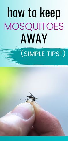 Learn how to keep mosquitoes away when camping! From natural repellents to unique ideas, you'll love these tips to keep mosquitoes at bay. Keep Mosquitos From Biting You, How To Stop Mosquitos From Biting You, Mosquito Yard Spray, What To Take Camping, Get Rid Of Flies, Natural Repellent