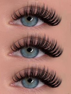 Mega Classic Lash Extensions, Classic Lashes Doll Eye, Mega Classic Lashes, Mega Classics Lashes, Cat Eye Russian Lash Extensions, Wet Set Lash Extensions, Mega Russian Volume Lashes, Eyelash Extensions Russian