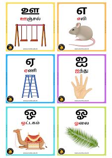 an image of different types of animals and things in the language set up for children to learn