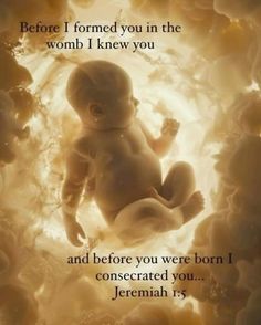 a baby laying in the middle of flowers with a quote below it that says, before i formed you in the womb i knew you and before you were born