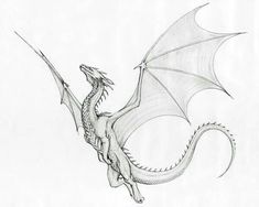 a drawing of a dragon flying in the sky