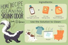 an info sheet describing how to use the cleaning products for your dog's house