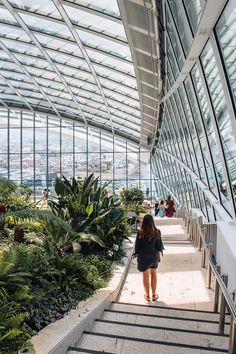 a woman is walking down some stairs in a glass and steel building with plants on both sides