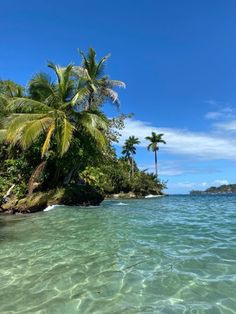 the water is crystal clear and there are palm trees on the shore in the background