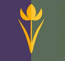 two different colored logos with one yellow and the other purple, both have tulips on them