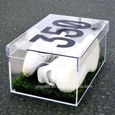 a clear box that has some white shoes in it and moss growing on the ground