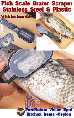 fish scale grater scraper stainless steel & plastic fish scaler sharper with cover