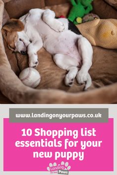 a dog laying on top of a bed next to a stuffed animal and text reading 10 shopping list essentials for your new puppy