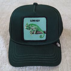 New With Tag Low Key Chameleon Lizard Style View My Store For More Goorin Bros Hats Smoke Free Pet Free Home Green Streetwear Baseball Cap With Short Brim, Green Baseball Cap With Short Brim For Streetwear, Green Baseball Cap For Streetwear With Short Brim, Green Short Brim Baseball Cap For Streetwear, Green Short Brim Hat For Streetwear, Casual Green Trucker Hat With Short Brim, News Boy Cap, Trilby Fedora, Chameleon Lizard