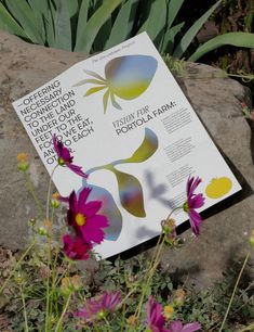 a book sitting on top of a rock next to purple and yellow wildflowers