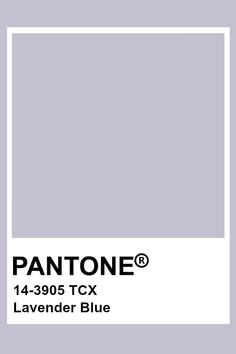 the pantonee color is shown in this image, it's light gray