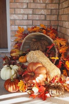 pumpkins and gourds are arranged on the front porch for fall decorating