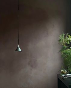 a room with a table, plant and lamp hanging from the ceiling