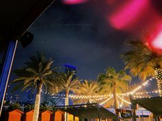 palm trees are lit up at night with lights in the sky and buildings behind them