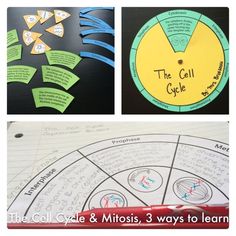 the cell cycle and microsise 3 ways to learn it