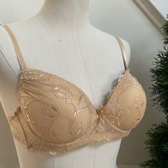 Ren Rof Beige Color Push Up Bra Brand New With Tags Extreme Push Up Smoke Free House Pet Free House Feminine Beige Bra With Lace Trim, Feminine Beige Lace Trim Bra, Elegant Beige Bra With Lined Body, Elegant Lined Beige Bra, Elegant Beige Lined Bra, Beige Lace Push-up Bra, Beige Full Cup Bra With Delicate Lace, Beige Push-up Bra With Lined Body, Small Bra