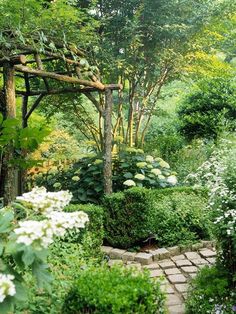 an outdoor garden with white flowers and trees