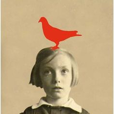 a red bird sitting on top of a woman's head