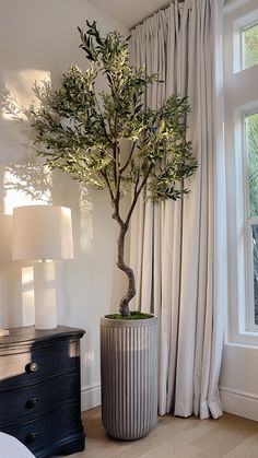 a bonsai tree in a silver vase next to a window with drapes on it