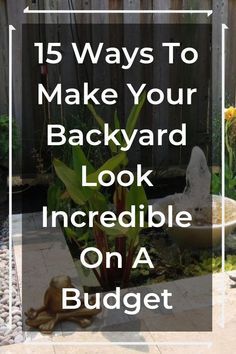 a backyard with rocks and plants on the ground, text overlay reads 15 ways to make your backyard look incredible on a budget