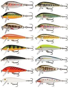 the different types of fishing lures and their names are shown in this image,