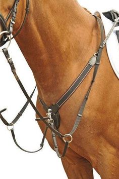 a brown horse wearing a bridle and halter on it's back