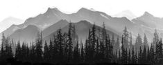 black and white photograph of trees in front of mountains with snow on the top,