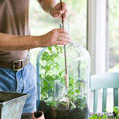 a man holding a plant in a glass jar