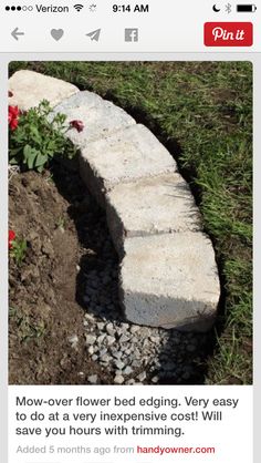 an image of a flower bed in the middle of some dirt and grass with flowers growing out of it