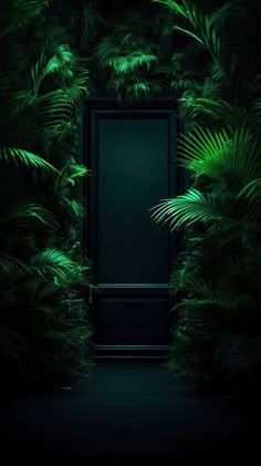 an open door in the middle of a jungle filled with green plants and palm trees