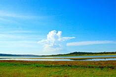 a large body of water sitting on top of a lush green field