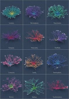 an image of different types of trees in various colors and sizes, with the names below them