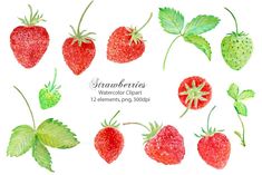 watercolor strawberries with leaves and berries