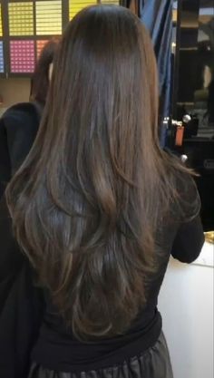 Hair Highlights Long Hair, Highlights Long Hair, Layers For Long Hair, V Shape Hair, Haircuts For Long Hair With Layers, Inspo Hair, Brown Hair Inspo, 일본 패션