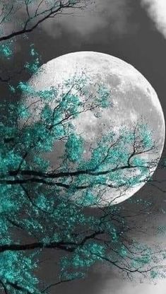 the full moon shines brightly in the sky above trees with green leaves on them