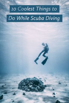 a person diving in the ocean with text overlay that reads 10 coolest things to do while scuba diving