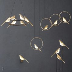 several birds are hanging from the ceiling with circular lights