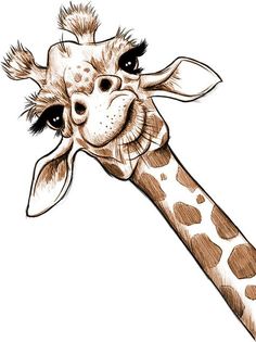 a drawing of a giraffe's head and neck