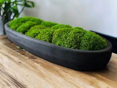 a wooden table topped with green moss covered in black rimmed material and a potted plant behind it