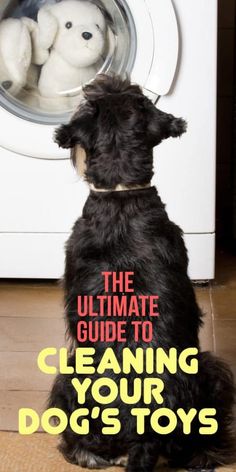 the ultimate guide to cleaning your dog's toy washer and dryer for dogs