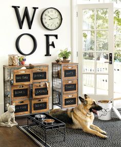 a dog laying on the floor in front of a wall clock with words written on it